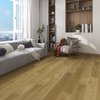 Oak Golden Premium 8mm SPC Click