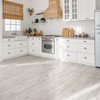 Arctic Oak Glue Down LVT
