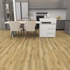 Devine Oak 6mm SPC Click