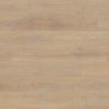 Dune Oak 12mm Laminate