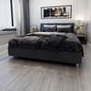 Winter Grey Oak Premium 8mm SPC Click