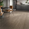 Rustic Ash 5mm SPC Click - SAMPLE