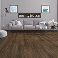 Dark Harbour 8mm Laminate - SAMPLE