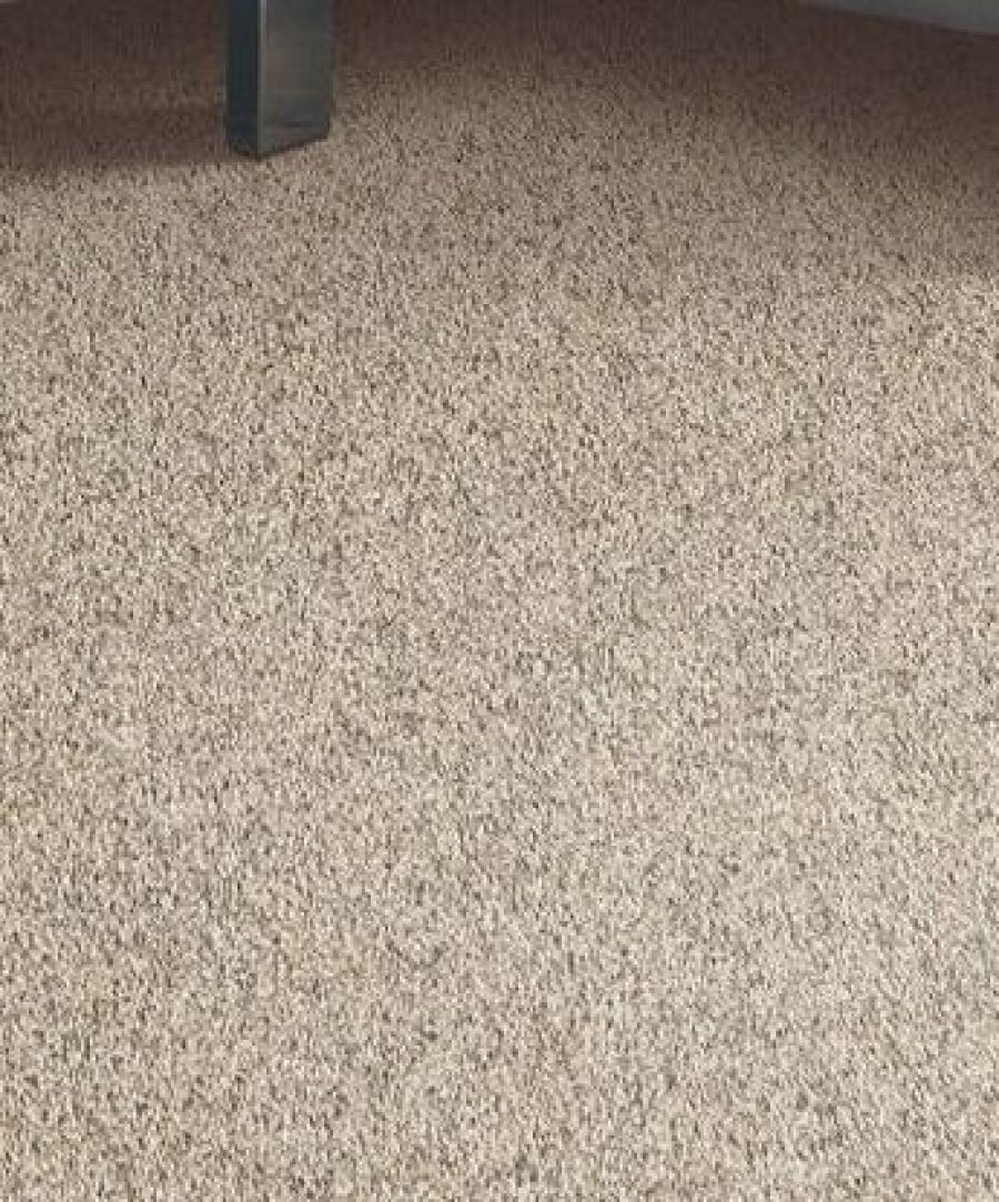 Garden Retreat Carpet Impression Floors