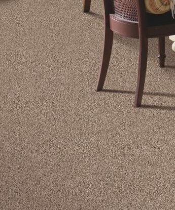 Shoreline Carpet