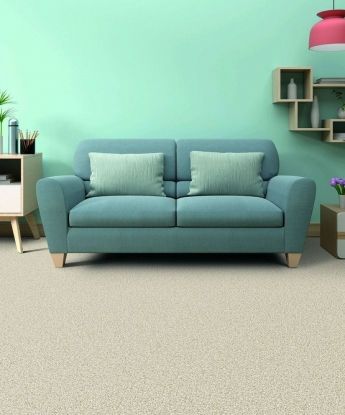Knockout Carpet