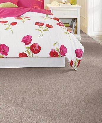 Harmony Carpet