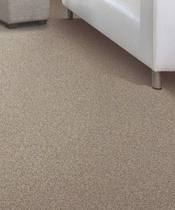 Tonal Chic Carpet