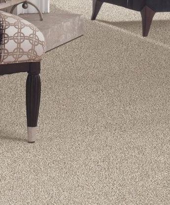 Tranquil View Carpet