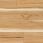 North American Hickory, 7 31/64\