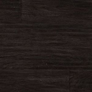 Midnight Oak