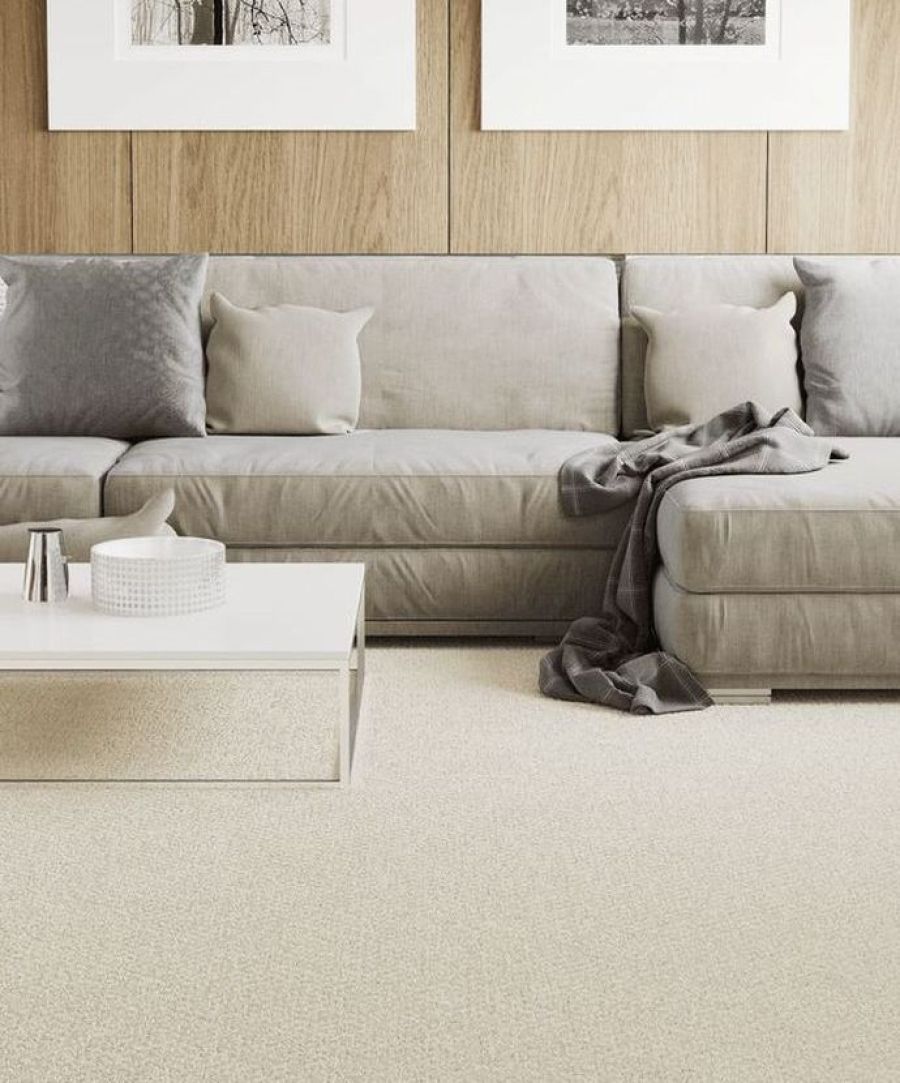 Pinpoint Carpet special by Cottage Carpets Vancouver