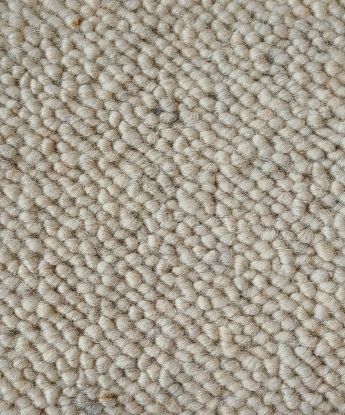 Nature's Carpet Waterford Wool Carpet - The Green Design Center