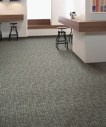 Transversal Approach Carpet