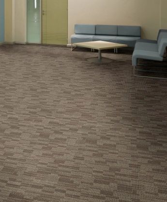 Distinctive Appeal Carpet