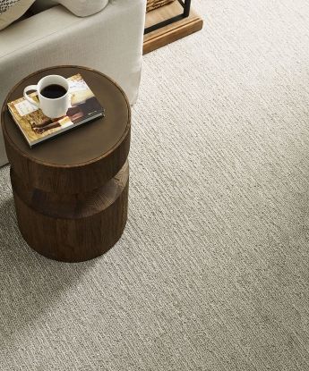 Smooth Sailing Carpet