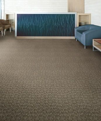 Surface Purpose Carpet