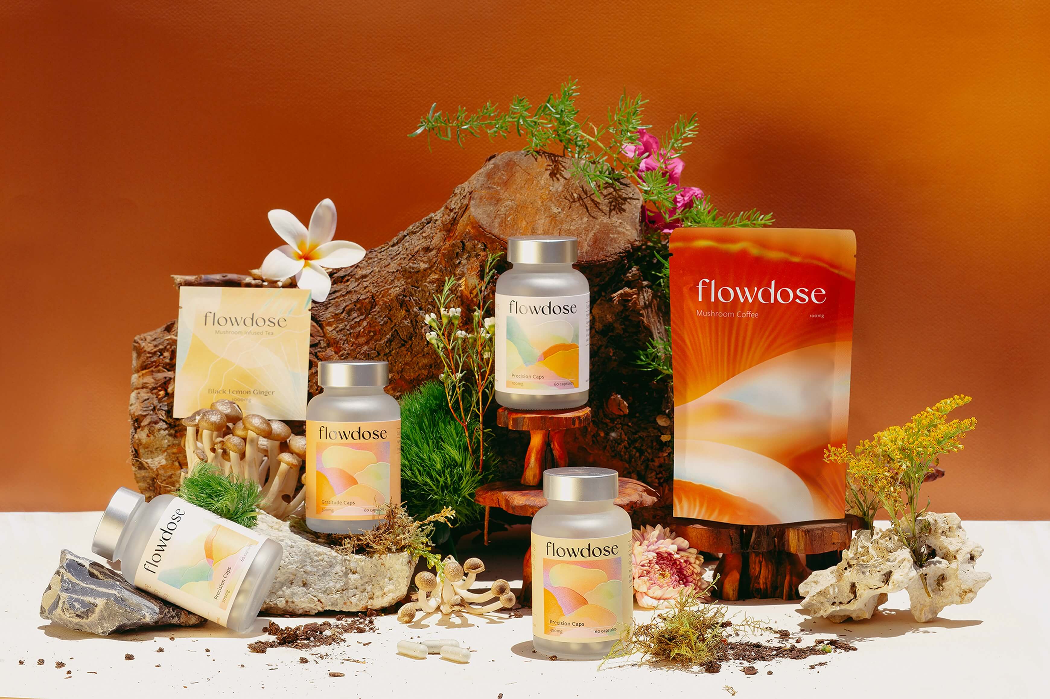 A Different Kind of Journey