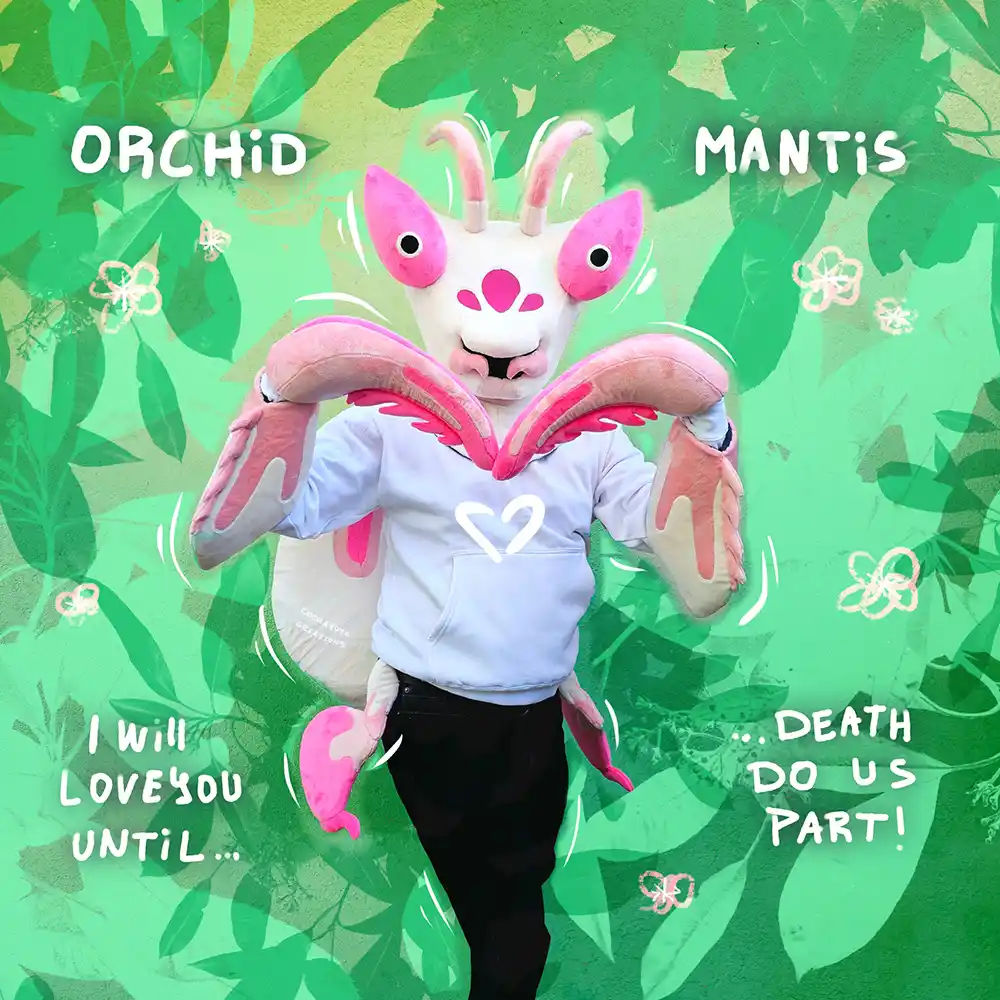Mantis