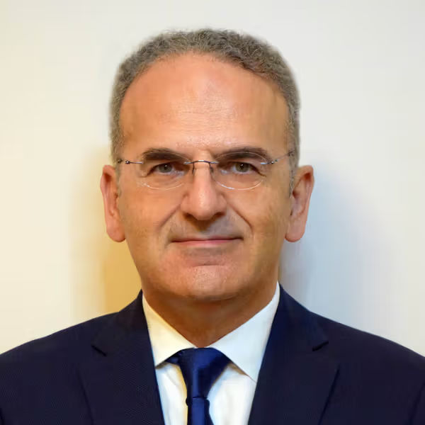 <h3>Sotiris N. Nikolopoulos, Ph.D.</h3>