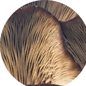 <strong>Testing Creates Clarity</strong>