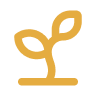 Feature icon