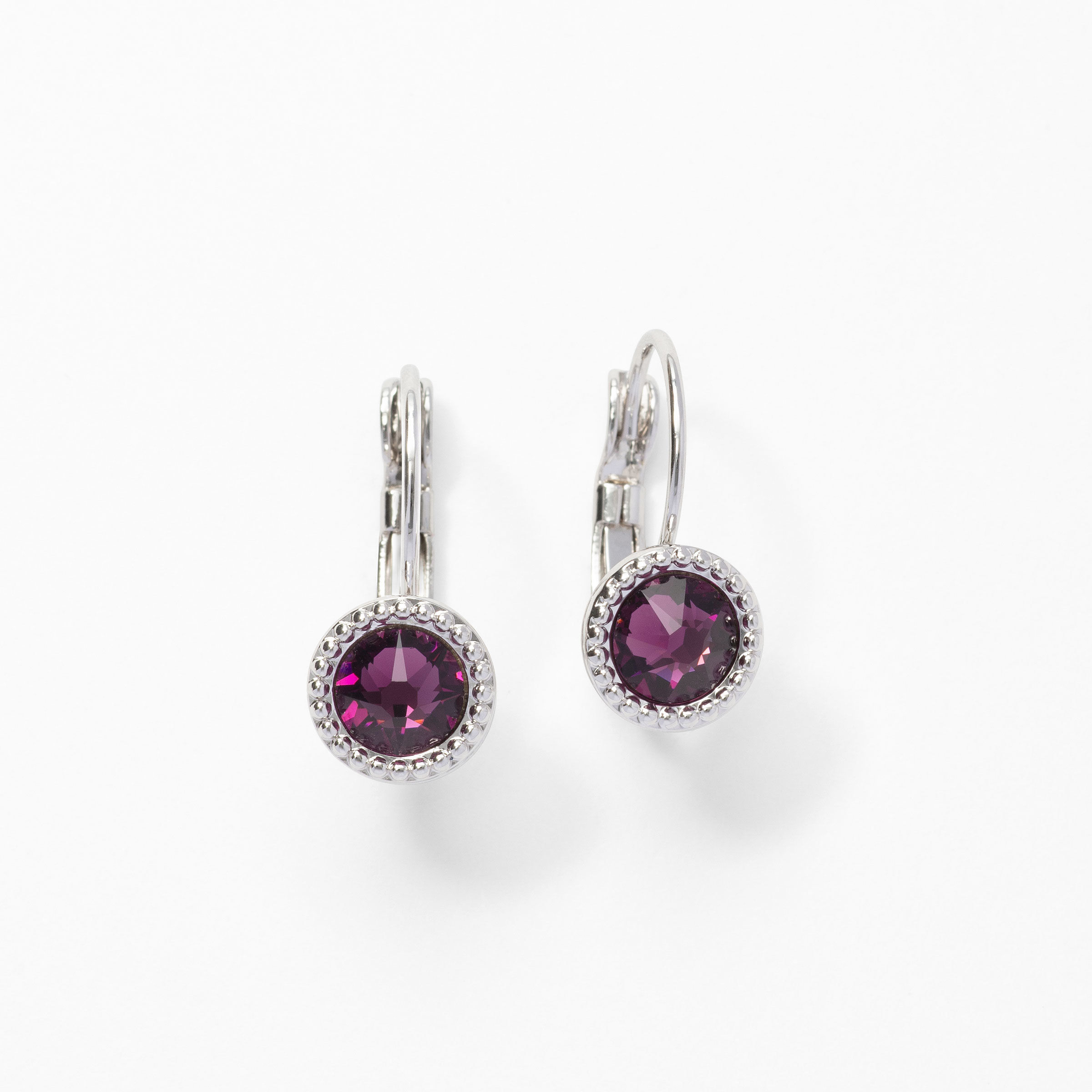 Little Wonder Earrings, February