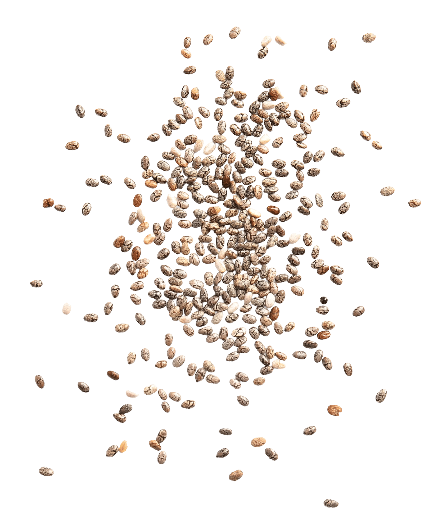 Chia Seeds