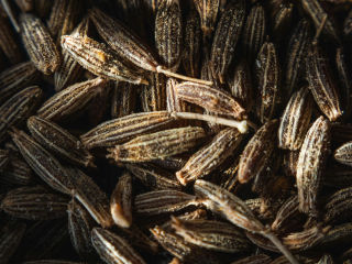 Goodness of a seed