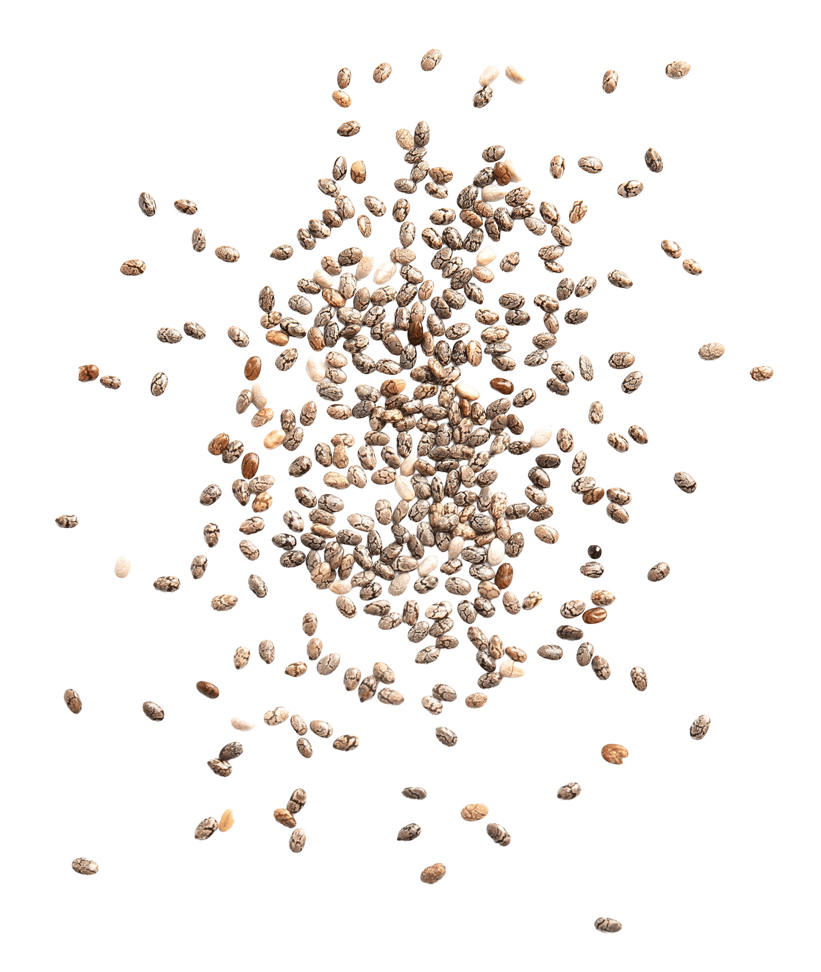 Chia Seed