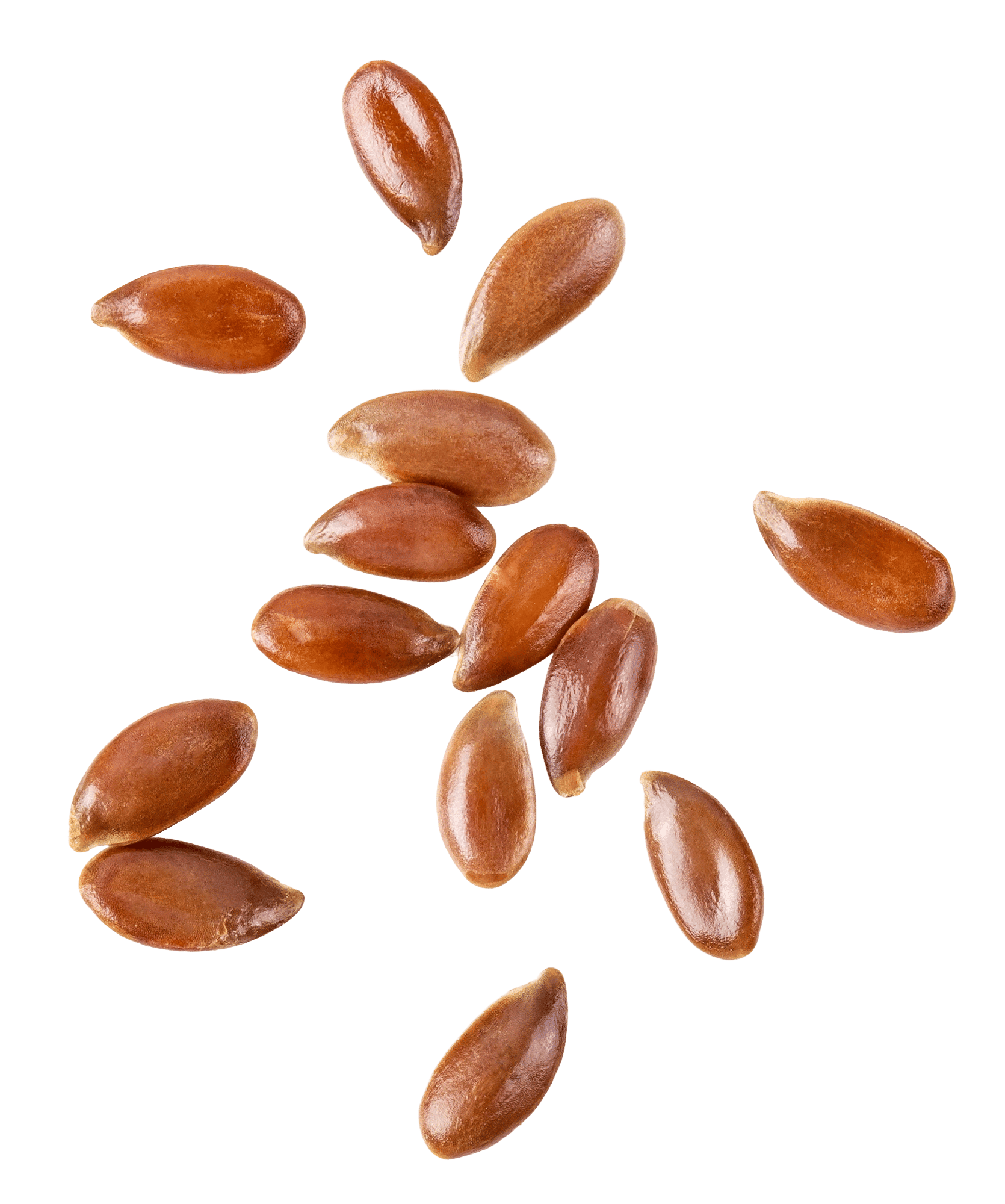 Flaxseed