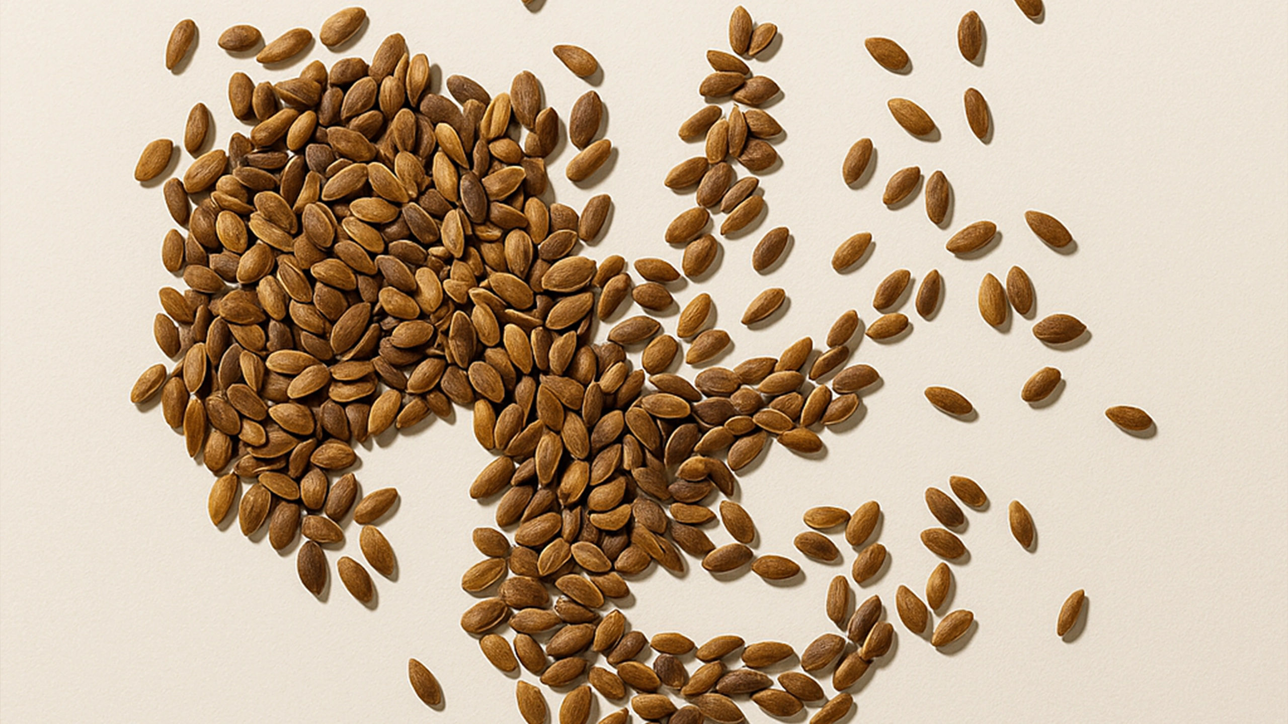 Seed Nutrition: Why Small Seeds Pack a Big Punch