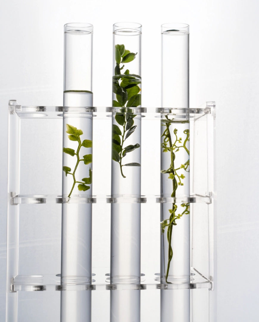 The Benefits of Bioactive Precision Peptides™