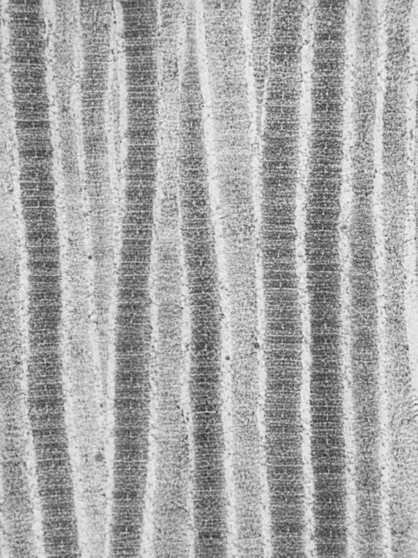 Healthy collagen and elastin production