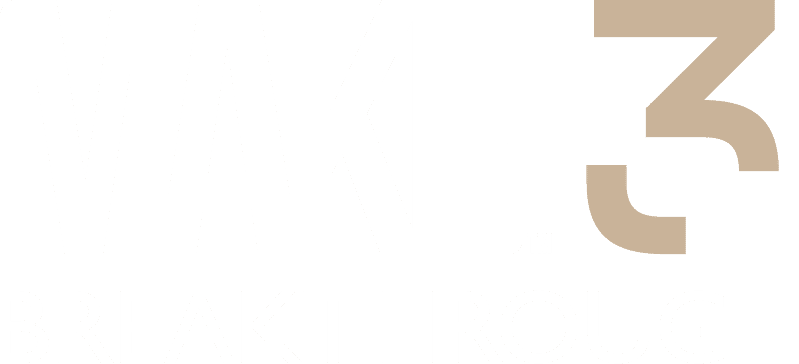 MAKE 3 Breakthrough