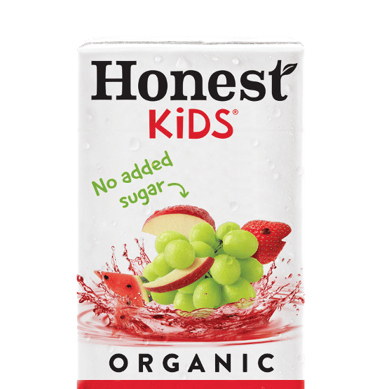 Honest Kids® Fruit Punch — view 1
