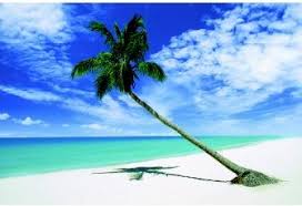 Tropical Blast