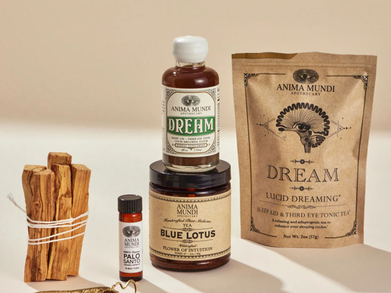 Lion’s Mane Brain Tonic