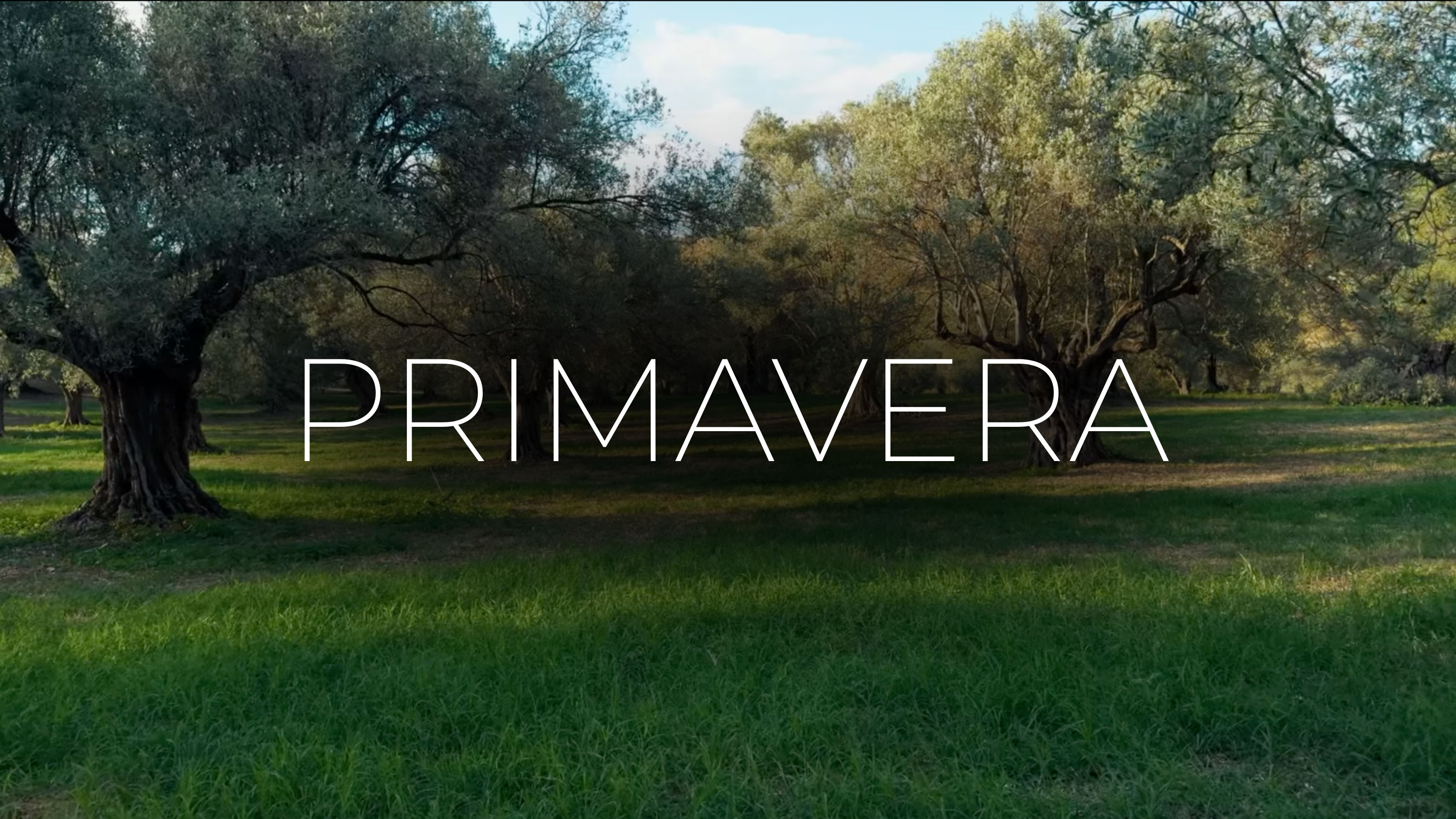 Primavera