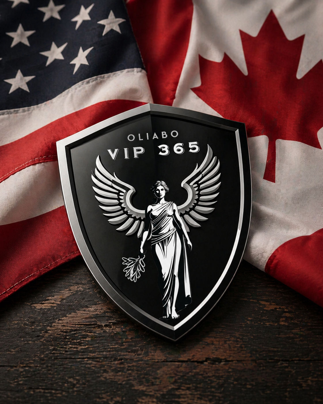 VIP 365 Access — image 1
