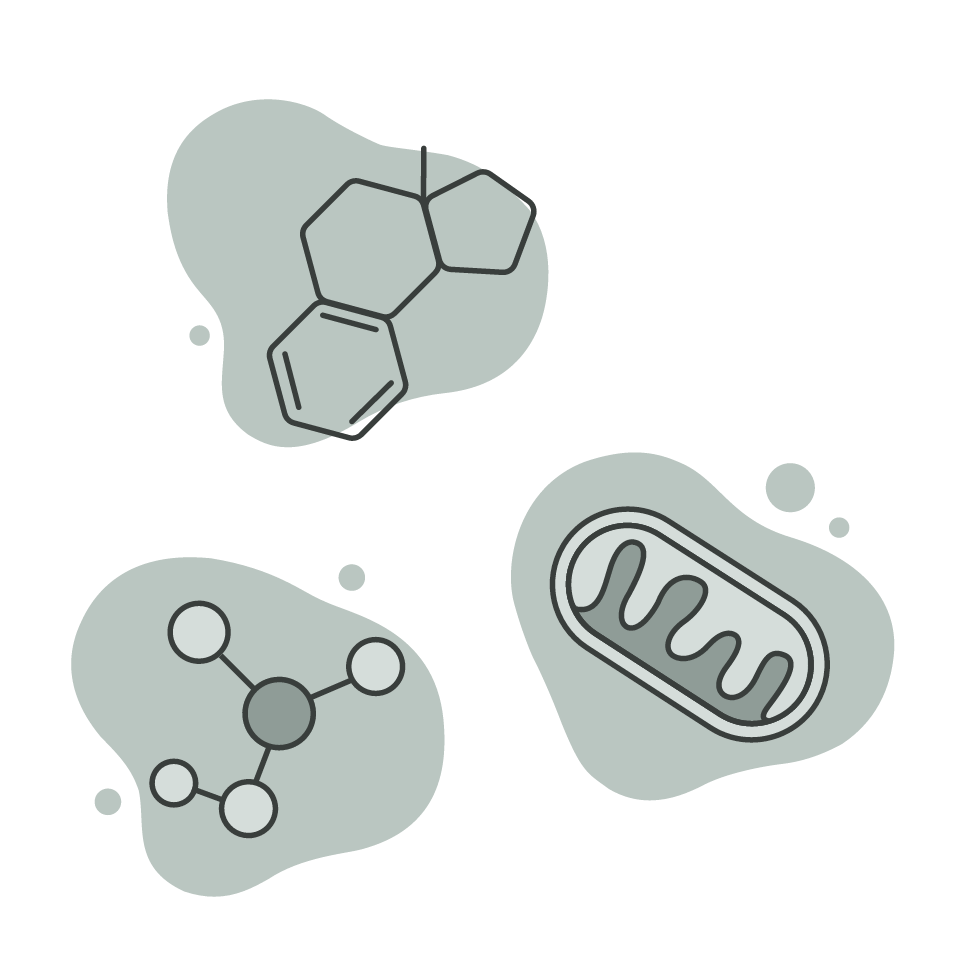 Dr. Porter in clinical setting