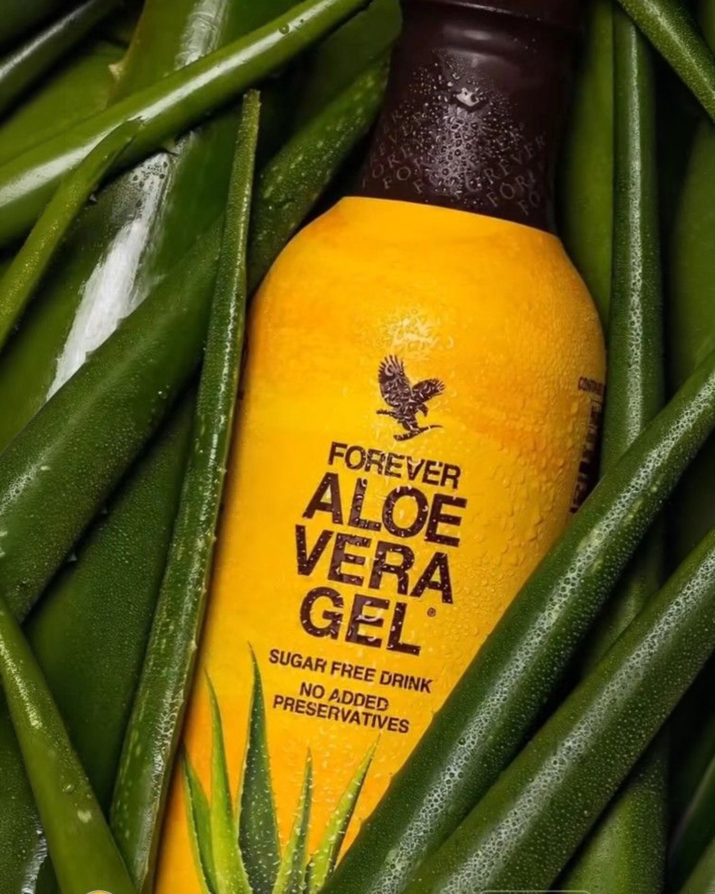 Forever Aloe Vera Gel® — view 2