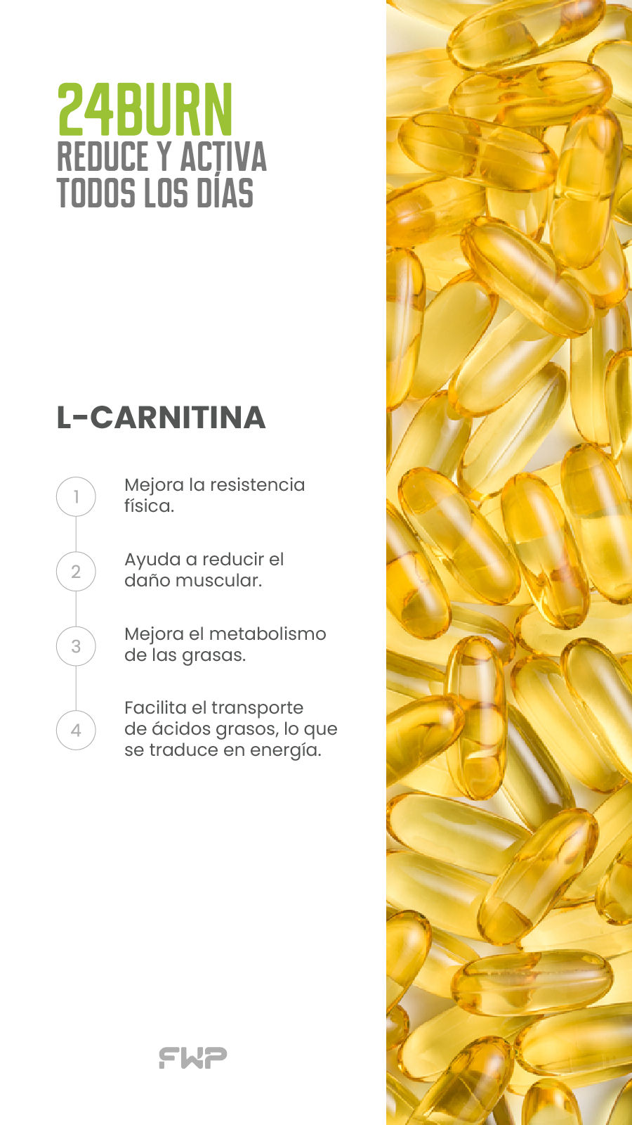 L-Carnitine