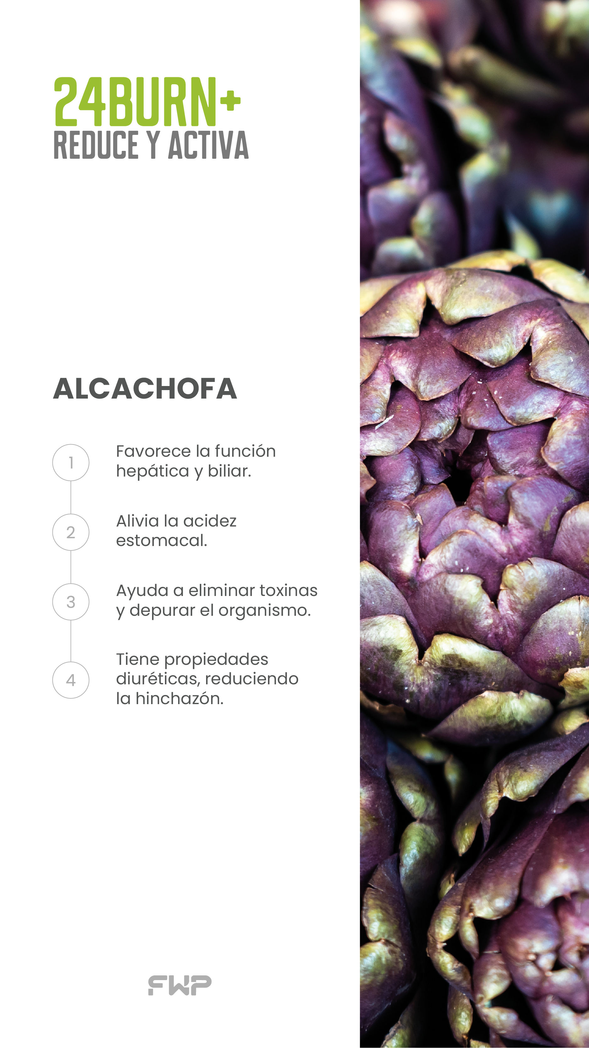 Artichoke