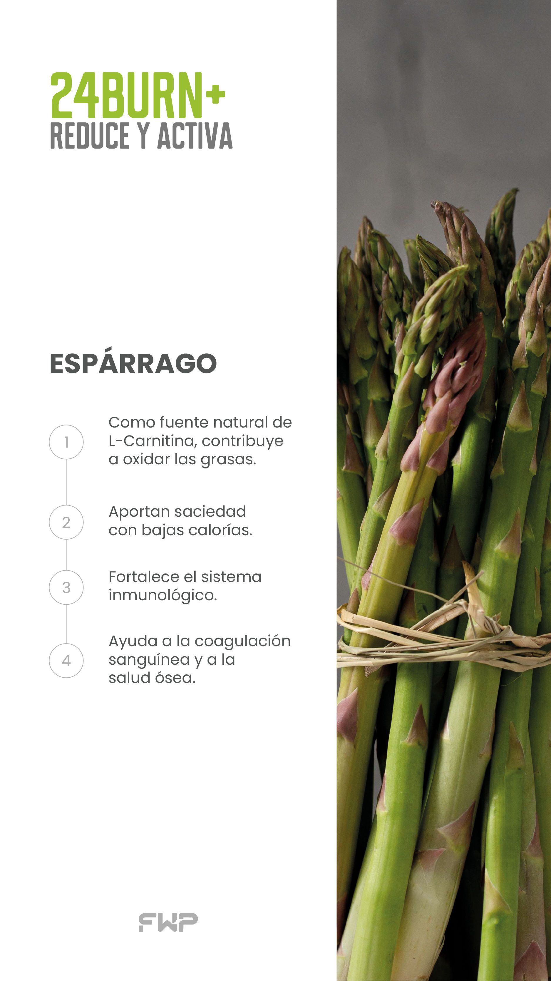 Asparagus