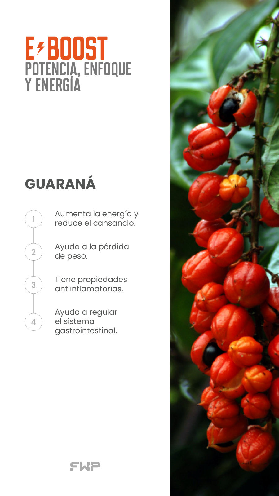 Guarana
