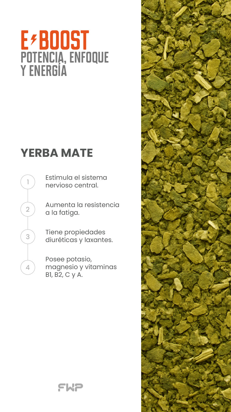 Yerba Mate