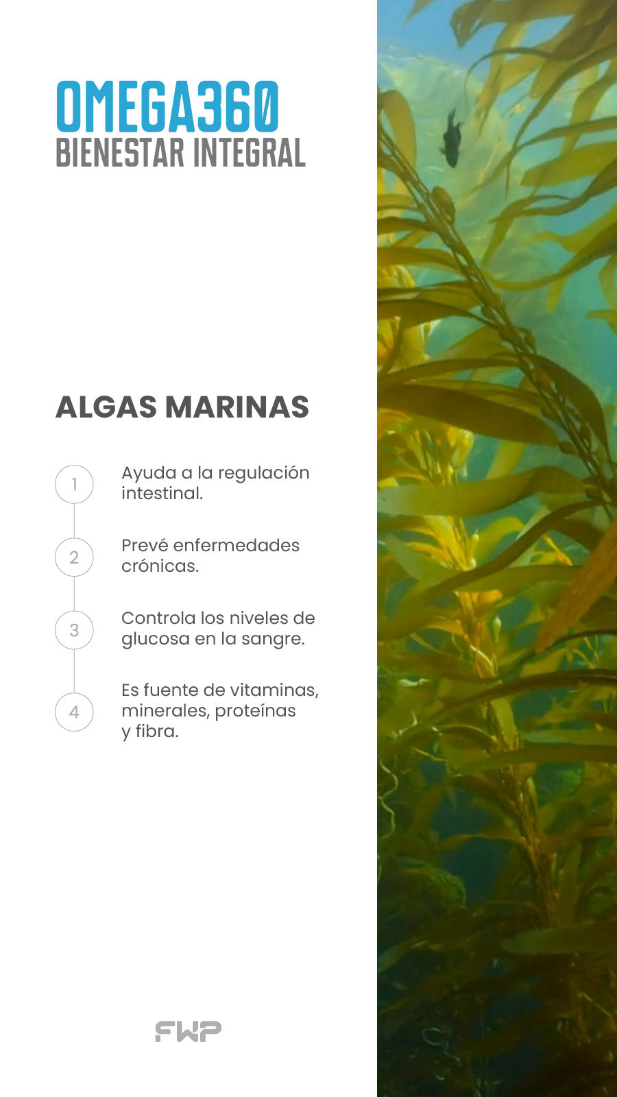 Marine Algae