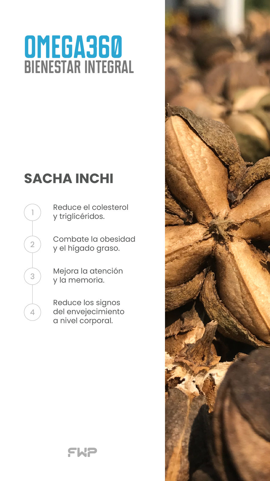 Sacha Inchi