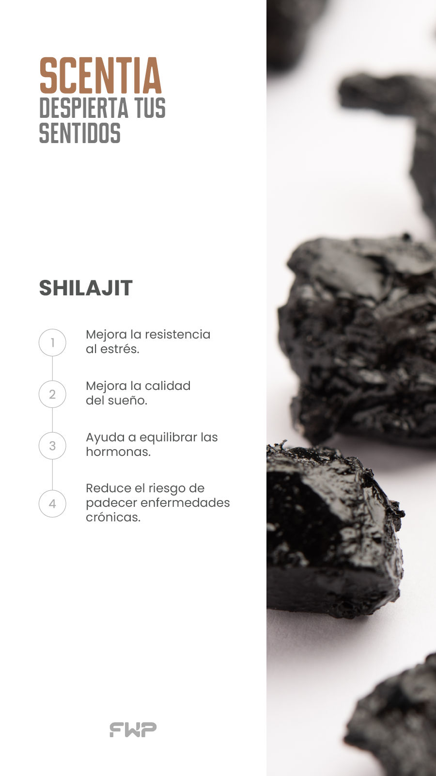 Shilajit